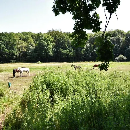 Pur Prázdninový dům